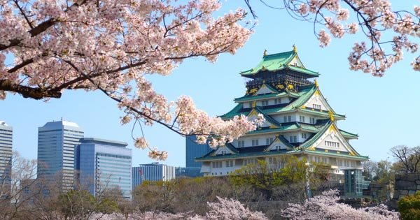 2022年大阪桜の名所 お花見スポット16選！桜まつり・ライトアップは中止も