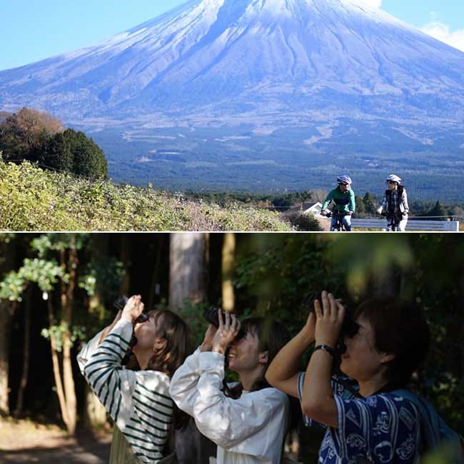 富士山の恵みを楽しむアウトドア体験。「MT. FUJI SATOYAMA VACATION」【静岡県・富士宮市】