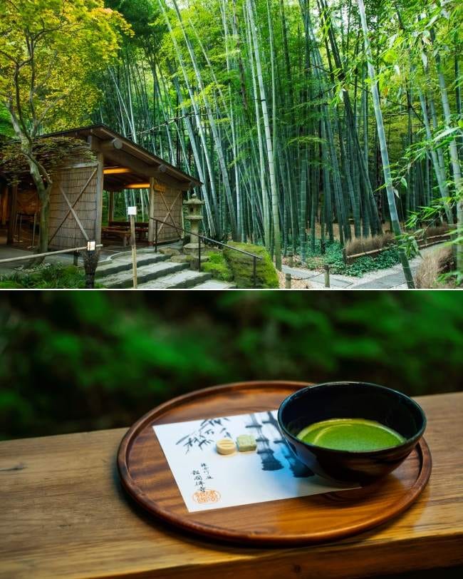 特別な体験ができる鎌倉のお寺5選｜精進料理や座禅、写経体験も