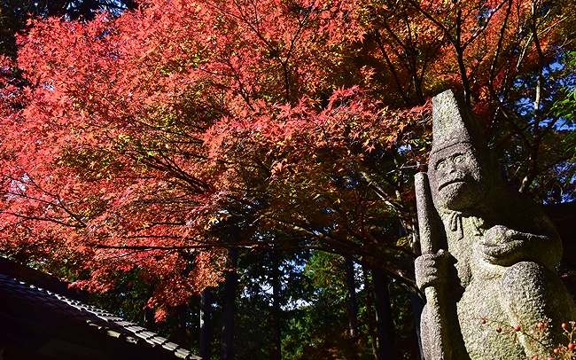 京都観光タクシー運転手がおすすめ。宇治のかわいいを見つけるモデルコース～猿丸神社・正寿院