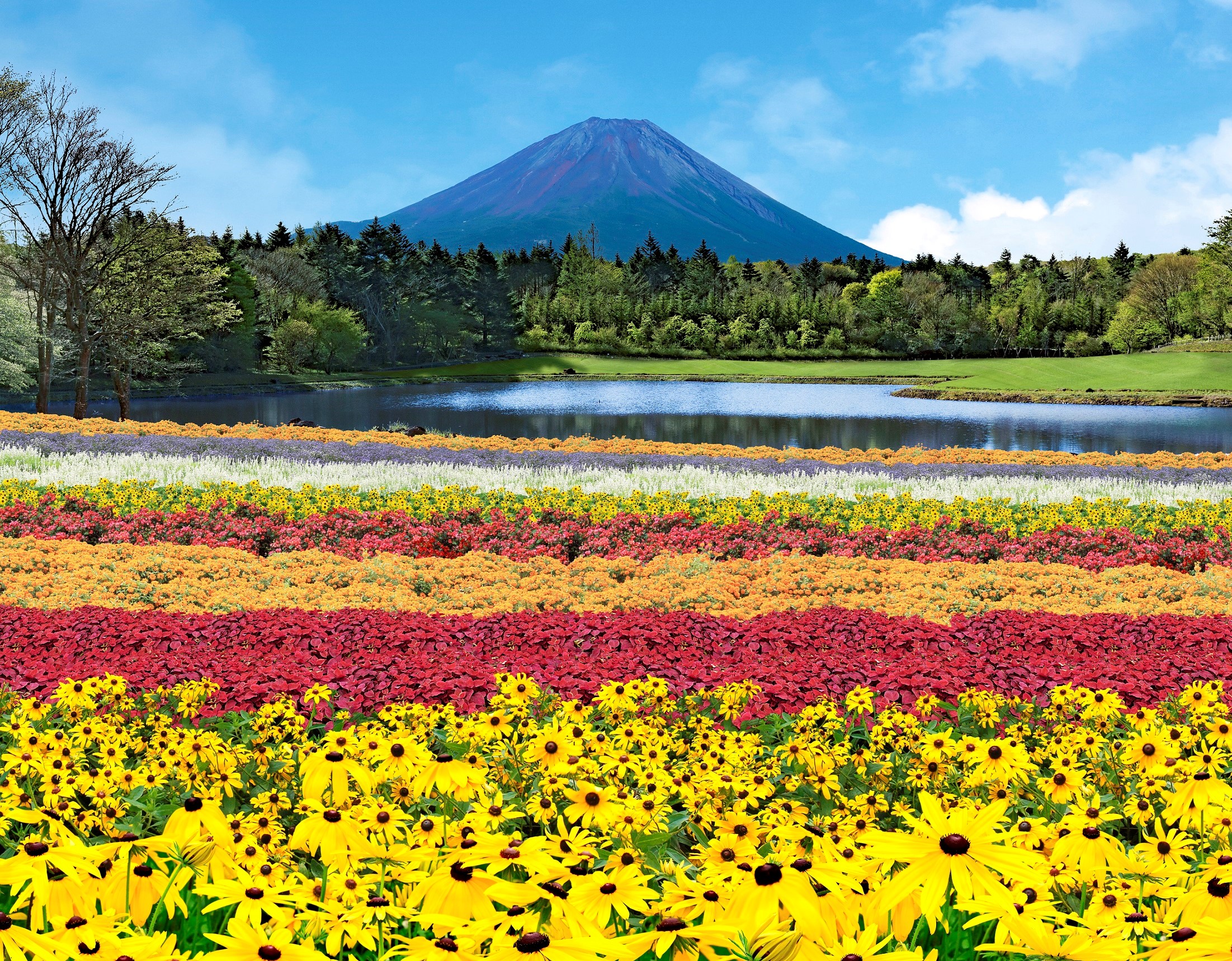 約8万株の花が咲き誇る「虹の花まつり」が開催！山梨の富士本栖湖リゾートで2022年10月10日まで