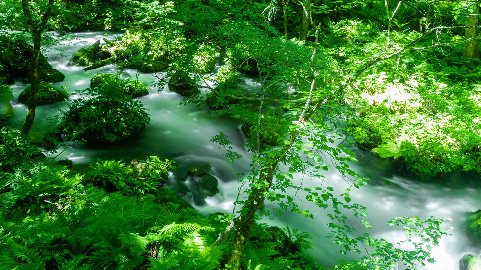 日本一美しい渓流沿いにある唯一のホテル「星野リゾート 奥入瀬渓流ホテル」で森に癒される旅