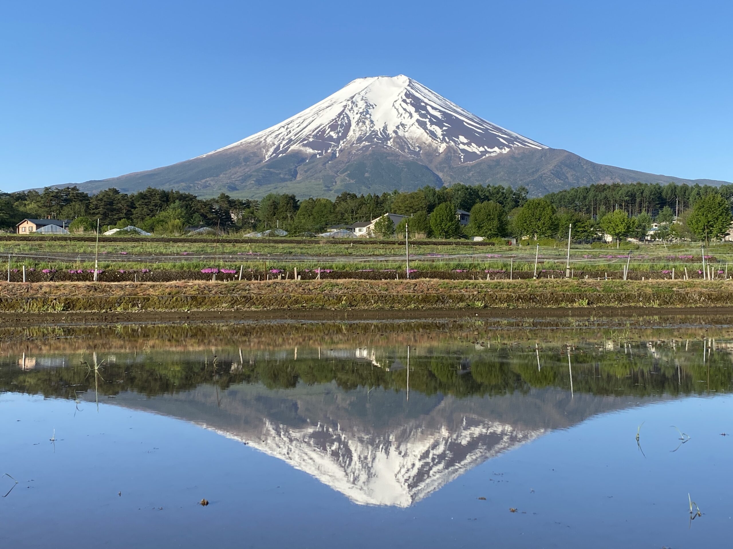 山梨県富士吉田の「富士山信仰の聖地」が第1位！〇〇の聖地ランキング発表