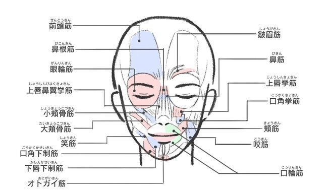 表情筋研究所「表情筋実態調査2022」 「マスクを外すこと」を恥ずしいと感じる方は2人に1人