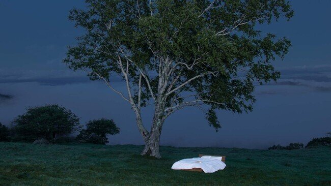 ＜BAUM＞樹木香る、眠りの森林浴美容(R)︎。「肌と眠りの関係性」心地よい眠りを誘う、ユーカリの香りと、合歓木の働きについての研究