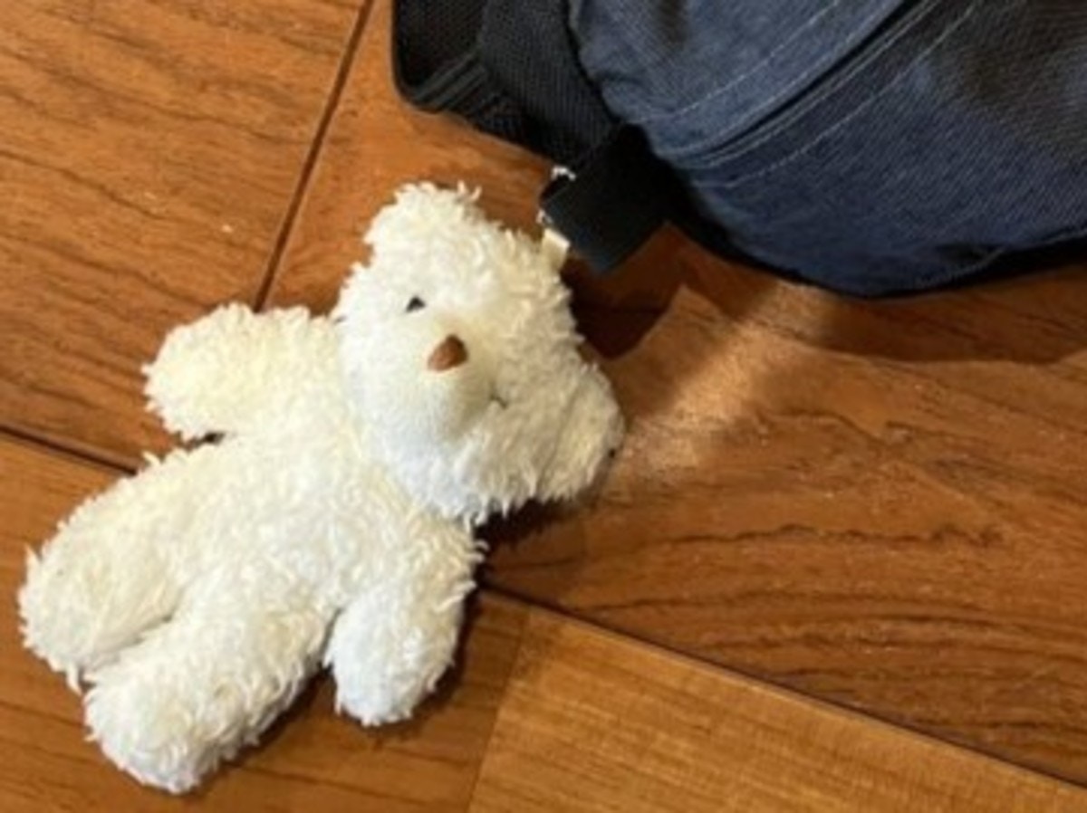 「卒業します」2児母が投稿、持ち歩きをやめたものに2千いいね「チャレンジャー」「すごい！」【ママリ】