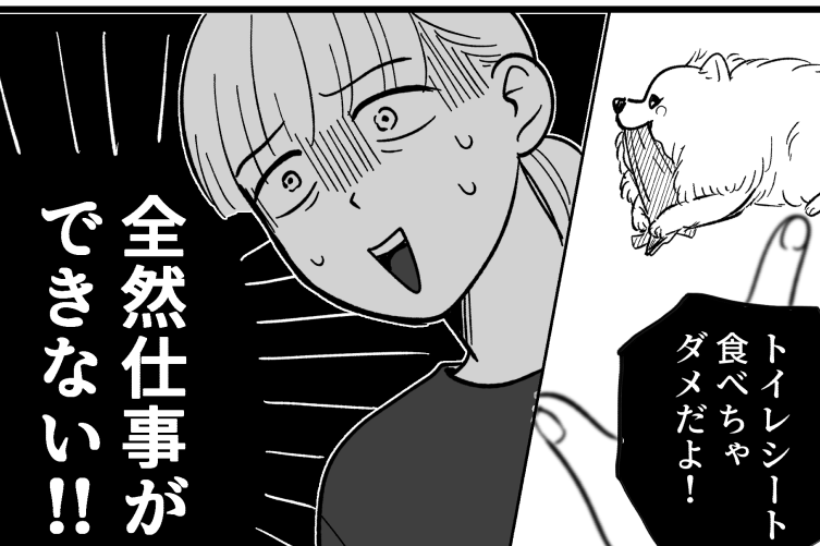 ＜義姉、無責任すぎ…！＞月1万円で犬預かって？うちはペットホテルじゃない、ムリッ【第1話まんが】