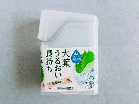 100均マニアも納得！『大葉専用ケース』が便利すぎた。110円なら絶対"買い"です！