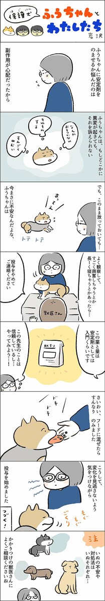 保護犬と暮らして約10年。シニア犬の「分離不安」の症状でなかなか決断できなかった…ある治療