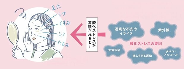 老けない肌になる「抗酸化栄養素」4つ。上手に食べて、美肌度アップ