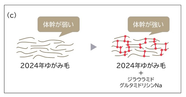 体幹が弱くなってしまった加齢性“ゆがみ毛”は、今まで以上に扱いにくい気まぐれ髪になっていた 〜ジラウラミドグルタミドリシンＮａによる髪の質感向上により、まとまりがあり、芯のある美しさを実現！〜