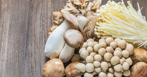 きのこの栄養成分とうま味が増すシンプルレシピ【明日から使える プロの食材術】