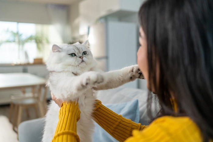 猫にいっぱい『話しかける』といいことが！5つのメリットと、猫が喜ぶ話しかけ方・聞きたい言葉