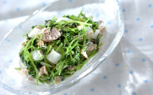 最短3分で完成！【豆苗】の注目レシピ5選〜サラダや簡単炒めなど、大量消費にぴったり