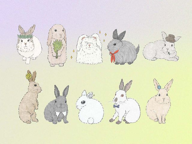 水晶玉子のプレミアムうさぎ占い 4月7日〜13日の運勢