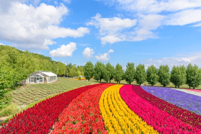【北海道心理テスト】北海道ドライブ、どこへ行く？ 選んでわかる「この春目指すもの」