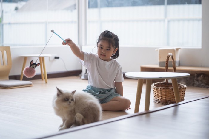 猫と暮らすことで『子供が得られるメリット』3選 幸せな関係を築くために気をつけるべき点も
