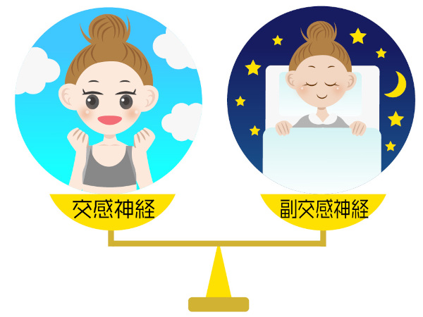 自律神経の状態は免疫にも影響を与える？ 白血球の働きが交感神経・副交感神経と連動