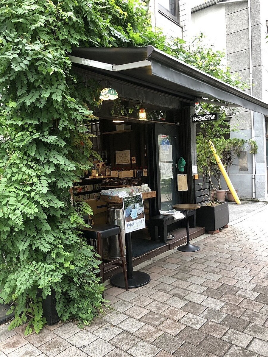 ゲイシャの水出しコーヒーでまったり 神保町でコーヒー好き女優・美山加恋オススメの一杯はタルトと相性抜群