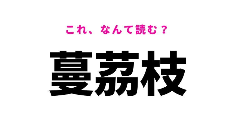 【蔓茘枝】はなんて読む?誰もが知っている食べ物!