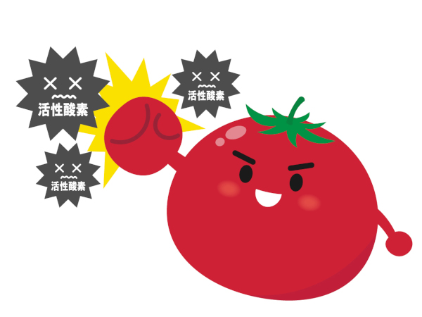 ビタミン以外の抗酸化物質とは? ミネラルとタンパク質には抗酸化物質の働きを助ける役割も