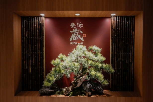 朝獲れ鮮魚を新幹線で輸送!東京初出店のプレミアム回転寿司「無添蔵」が旨すぎる!