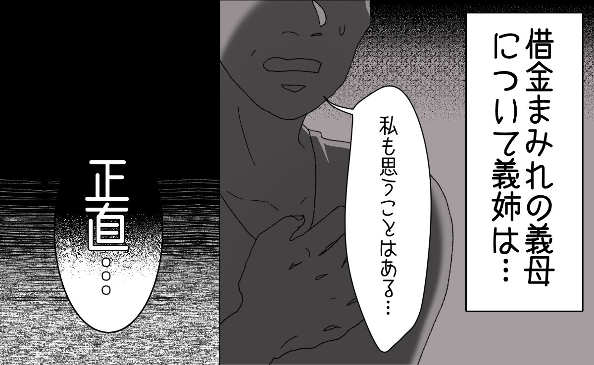 義母と義姉【知られざる関係性】味方に見えたのに…「正直、思うところはある」告白した義姉の思い【ママリ】