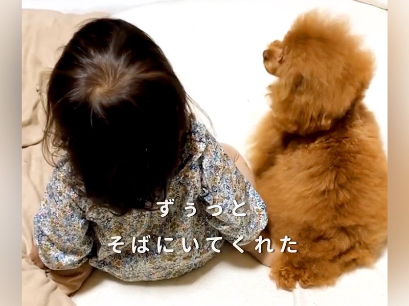 4年間『女の子の幼稚園生活』を見守り続けた犬…思わず涙する『小さなお母さんのような光景』が21万再生「泣けてきた」「素敵すぎる」と感動