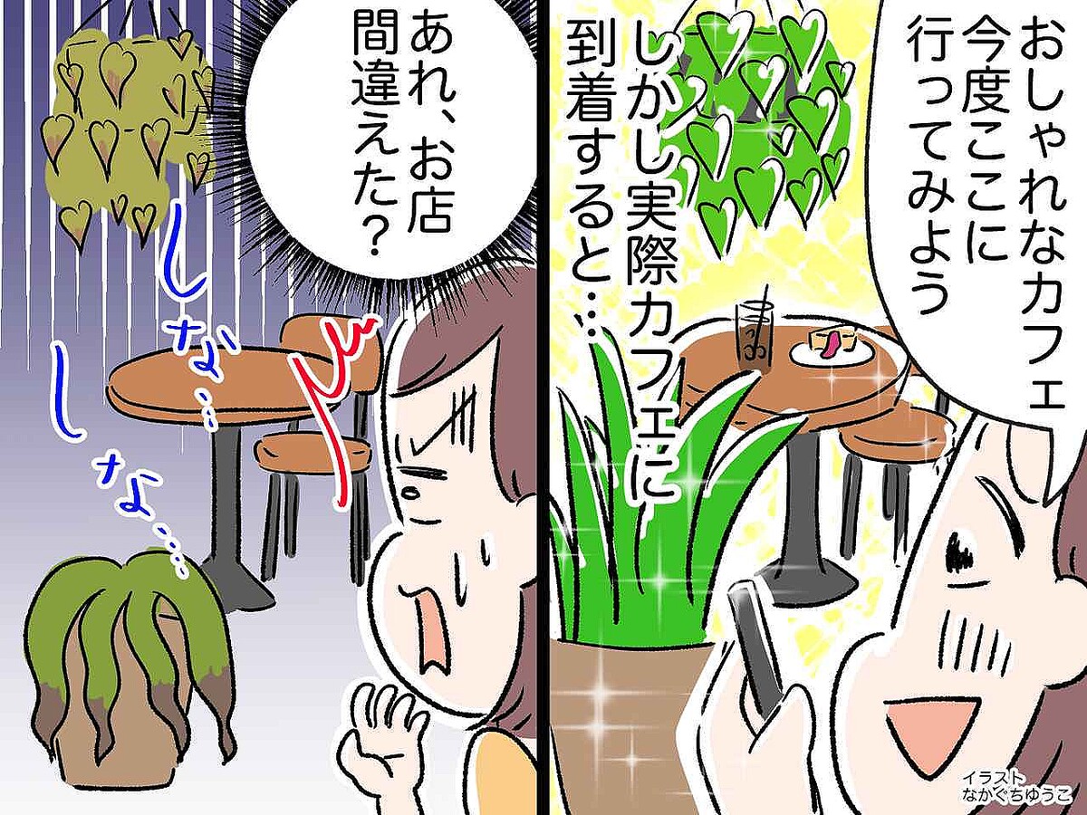 <えぇ!?>SNS絶賛の「おしゃれカフェ」へ行くも、植物はシワシワ。しかも運ばれてきたケーキは!?