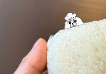 18万いいね!冷凍ごはんの解凍が劇的に早くなるプロの小技に「いいこと聞いた」「覚えておく」【ママリ】
