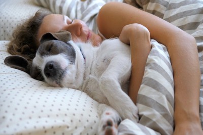 愛犬と一緒に寝ても大丈夫?具体的な問題や飼い主が注意すべきポイントまで