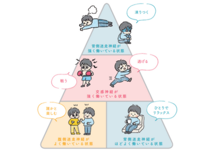 あなたの“今の気分”はどの神経が作ってる? 自律神経と心の関係とは【今度こそ「不安ぐせ」をゆるめる ポリヴェーガル理論】