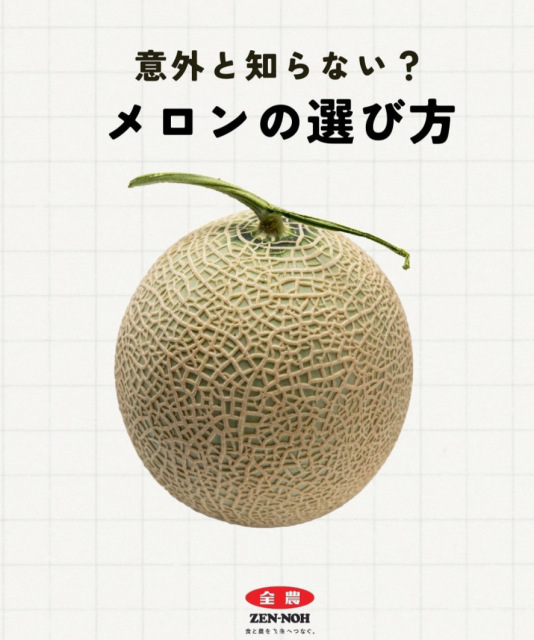 「意外と知らない?」メロンの選び方を、JA全農が伝授