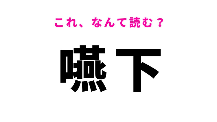 【嚥下】はなんて読む?食べ物を運ぶ一連の動作のこと!