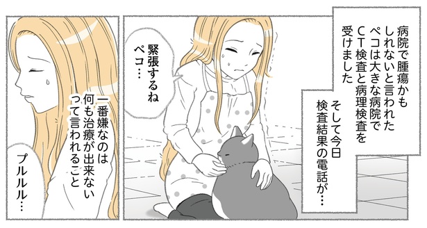 【ネコ漫画】愛猫がガンに。治療法がないと言われた夫婦の決意とは?「ペコの前では泣かない」