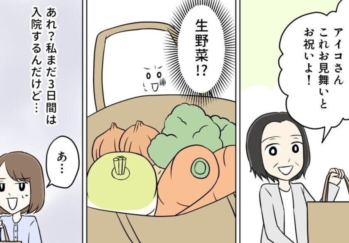 出産祝いはまさかの「生野菜」義実家との決定的な価値観のズレで決別【ママリ】