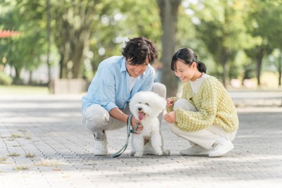 あなたの犬を『一番幸せにする』方法3選 愛犬が最高の生活を送るためのポイントや飼い主が改善すべきことまで