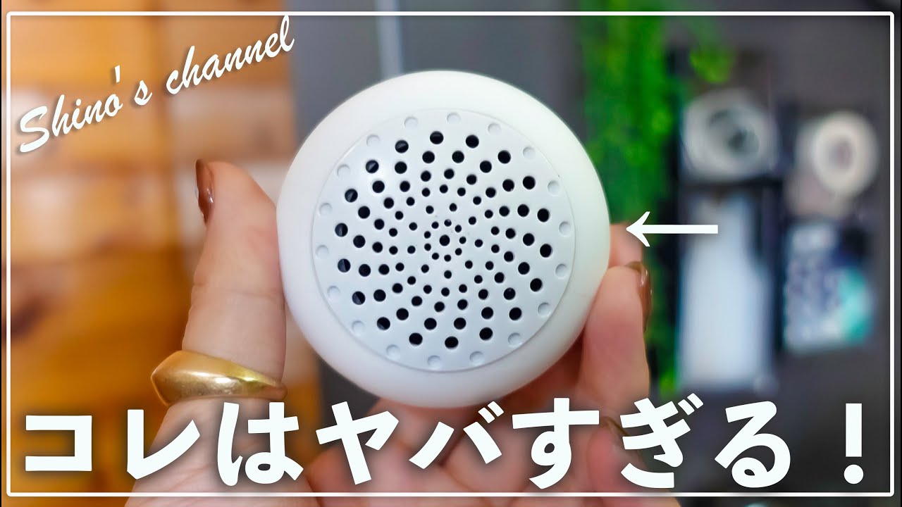 shinoが驚愕!「これはバズるわけだ」100均便利グッズを徹底レビュー