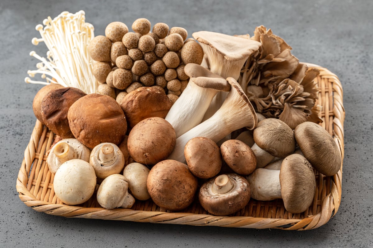 シイタケ、マイタケ…栄養価が高いキノコは? 管理栄養士に聞く「栄養を逃さない食べ方」