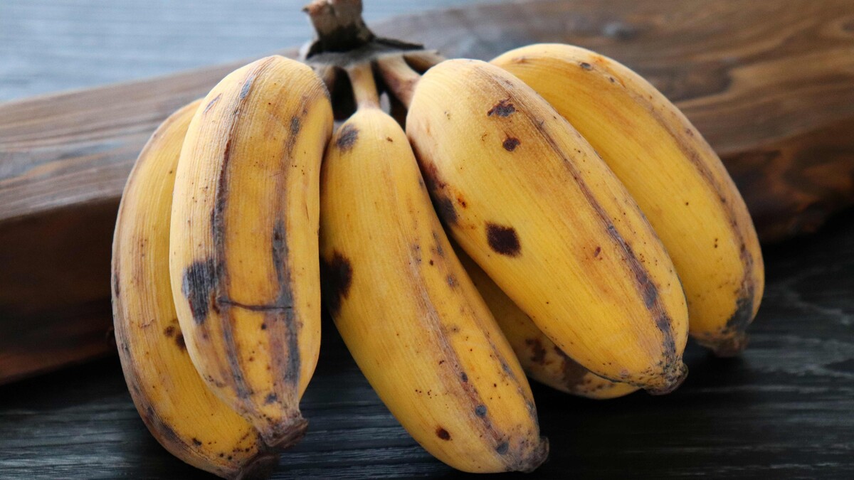 茶色くなったバナナや柔らかくなった柿、いつまで食べられる?果物の食べごろの見極め方と逃がした時のスイーツレシピ