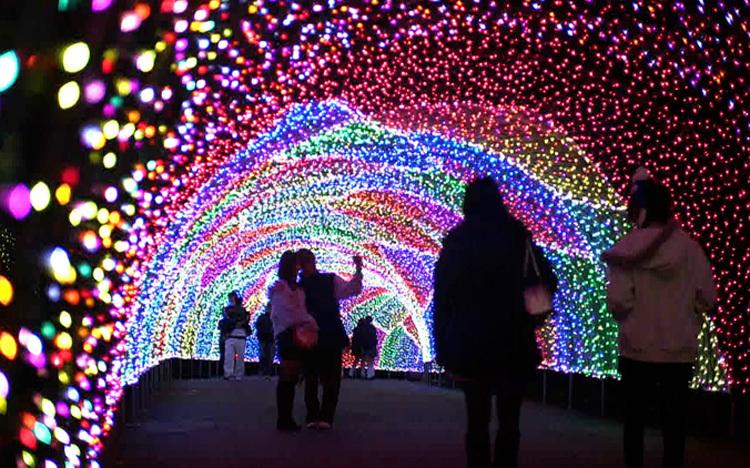 クリスマス直前!車で行きたい!関東イルミネーションの名所