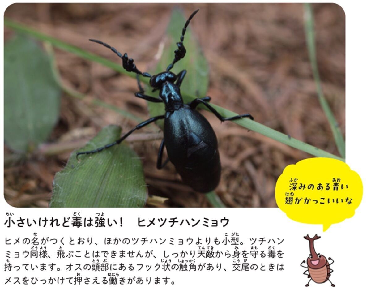日本全国に生息する、暗殺にも使われた”虫の毒”に注意! 致死量わずか30mg…皮膚に触れたら即手洗いを