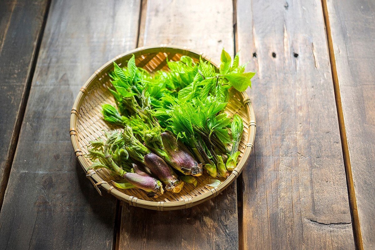 「美味しい」だけで終わる人は損…「美食旅」の感動を倍にする事前準備の全技術