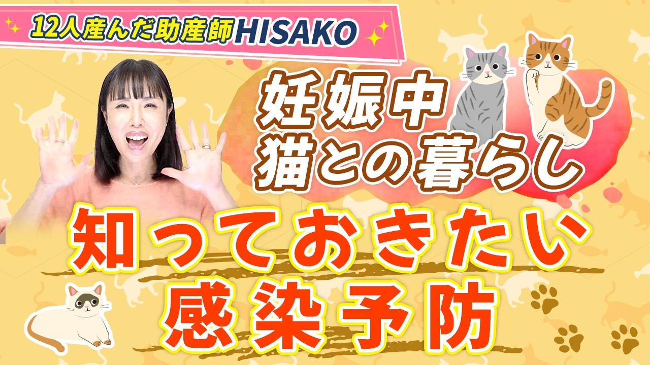 意外と知らない猫と「トキソプラズマ」の真実、妊娠中に手放す必要はない